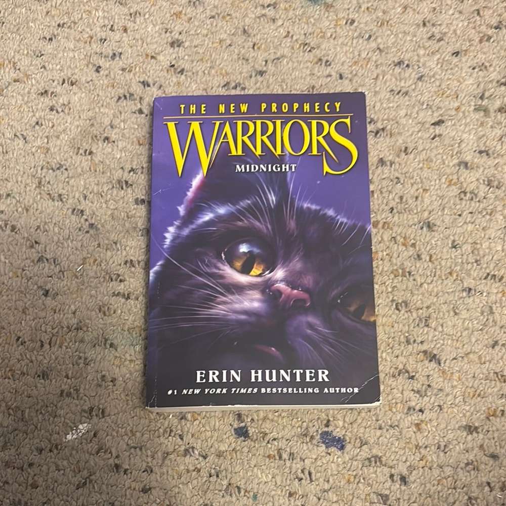 Warriors Midnight Cat Book